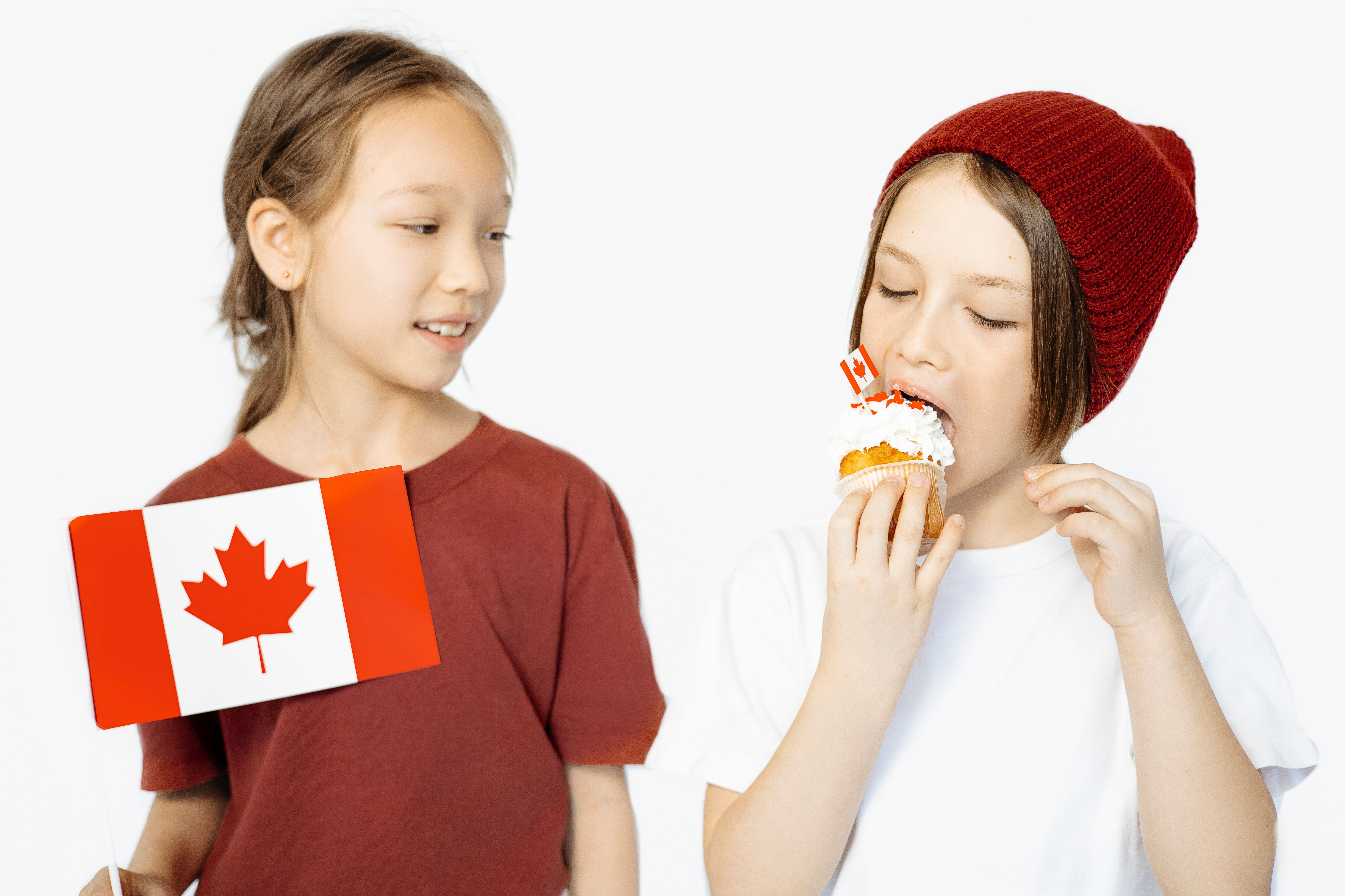 elections voting canada — Photo by Hanna Pad on Pexels