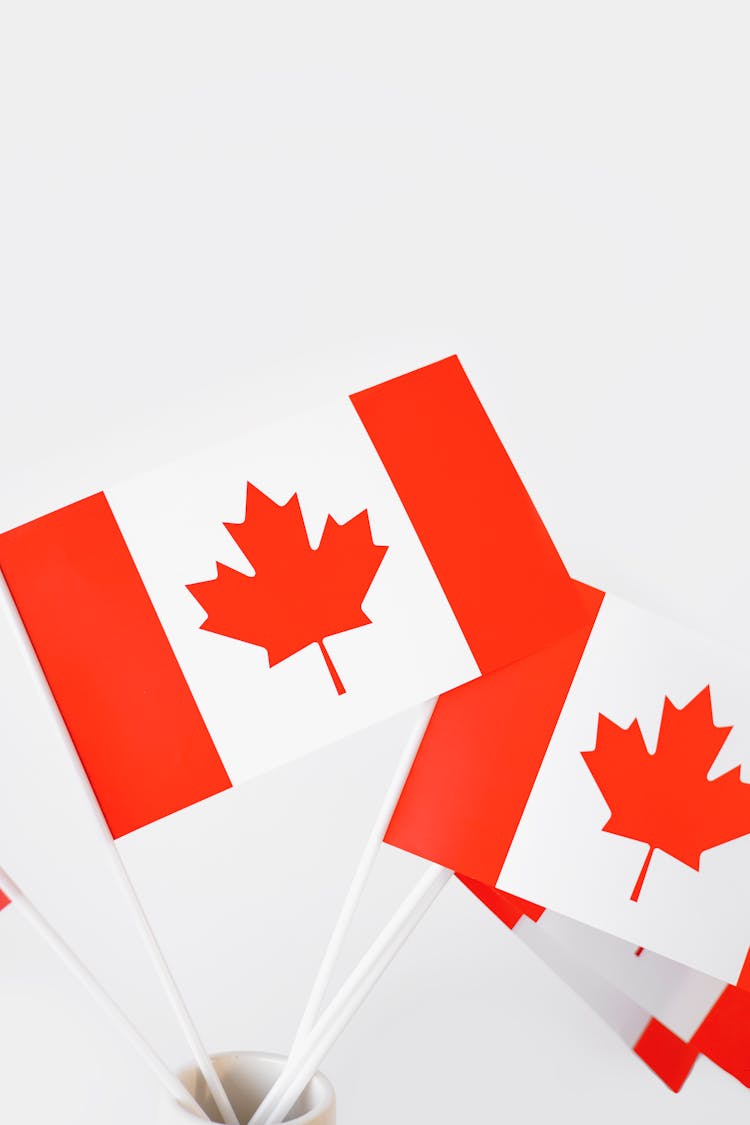 Canada Flags In White Background