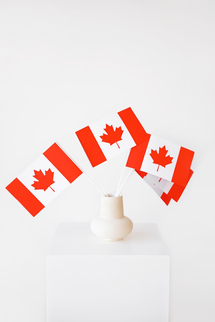 Canada Flags In White Ceramic Vase