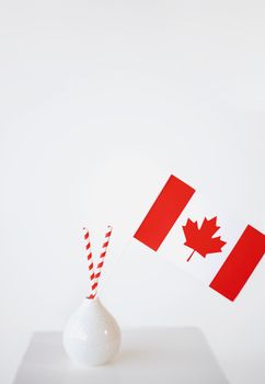 A minimalist image featuring a Canadian flag in a white vase against a bright background.