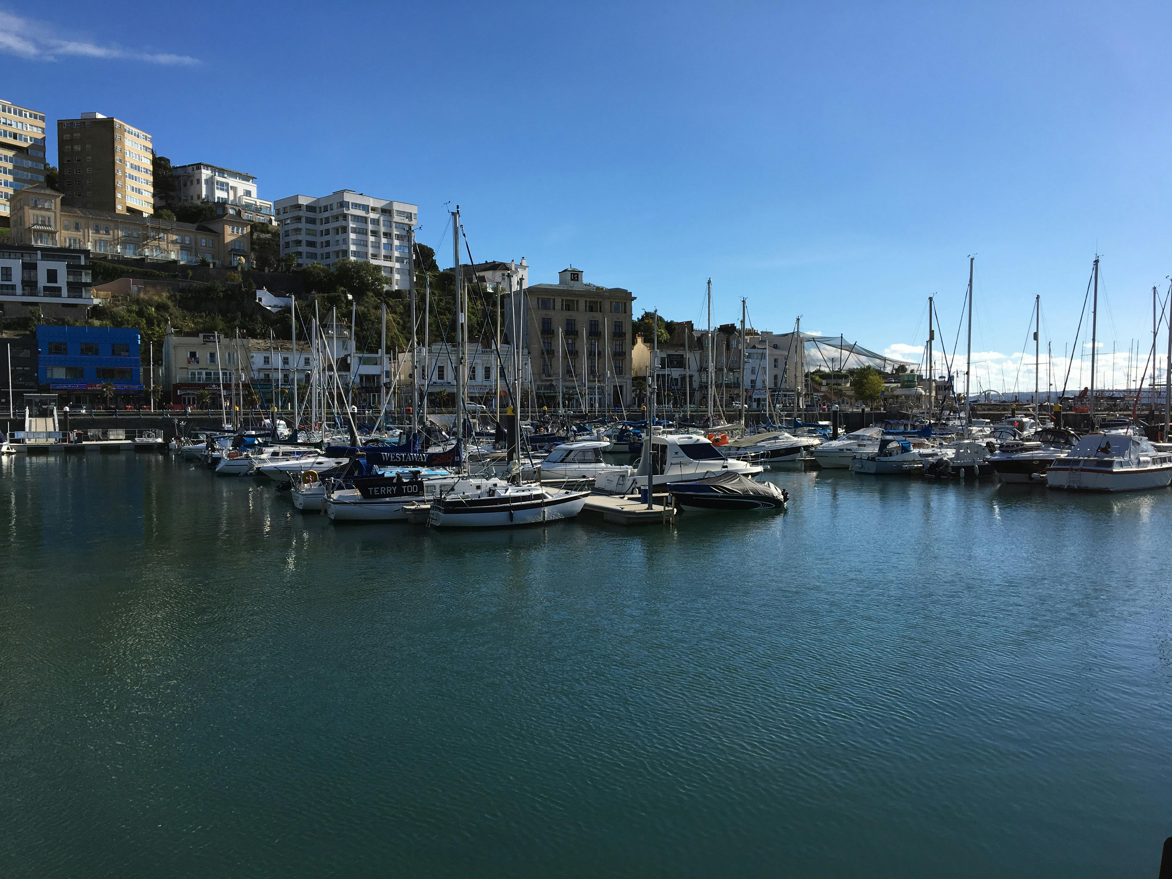 Free stock photo of torquay harbour