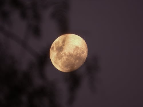 Foto d'estoc gratuïta de astrofotografia, brillant, cel nocturn