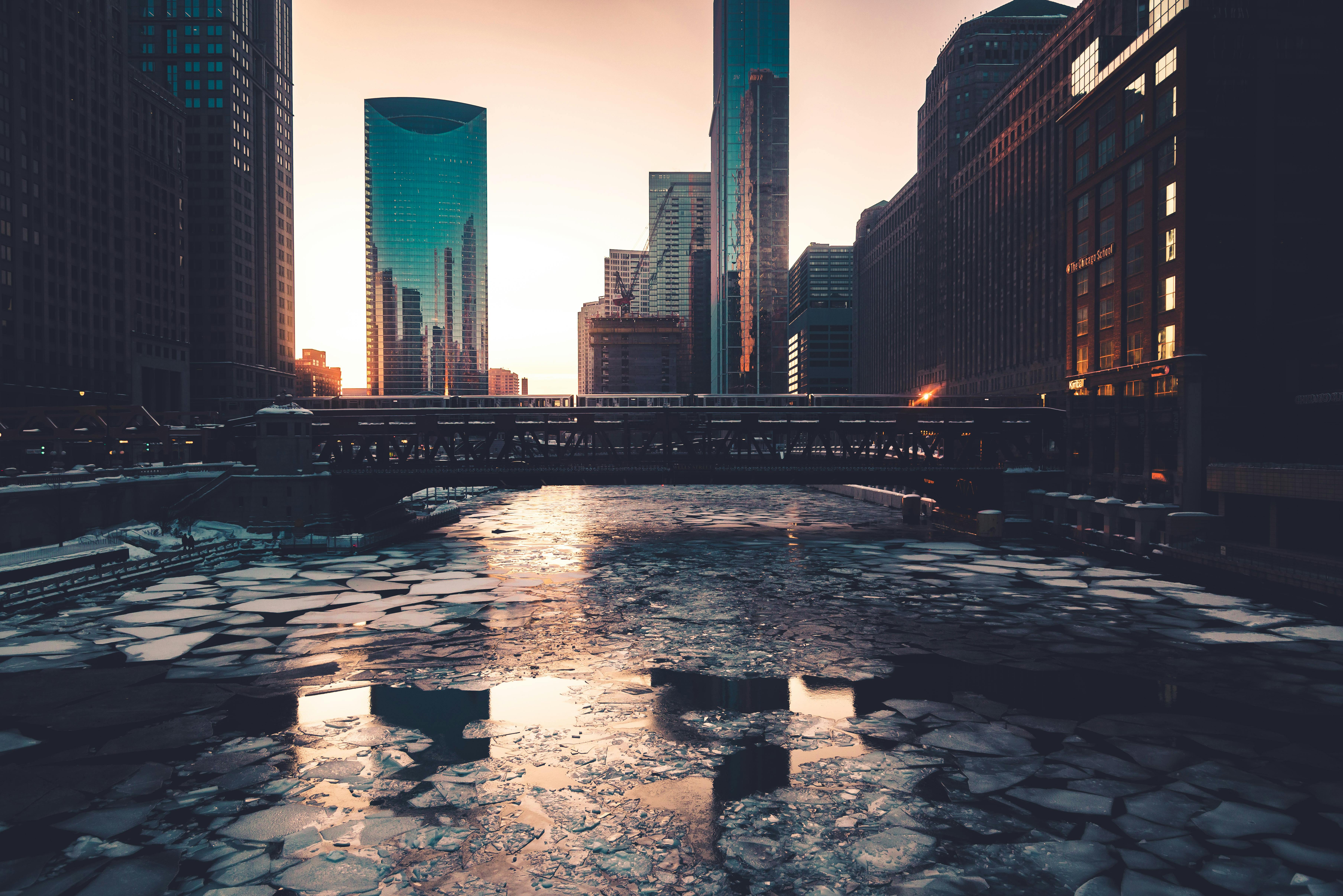 Image related to ICE A Top Issue for Chicago Voters in 2026 Primary