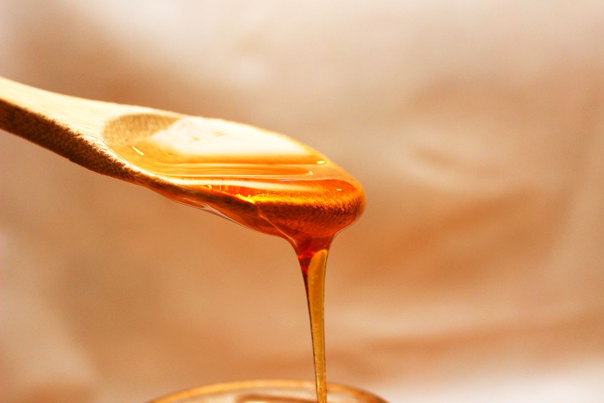 Miel cruda de origen silvestre