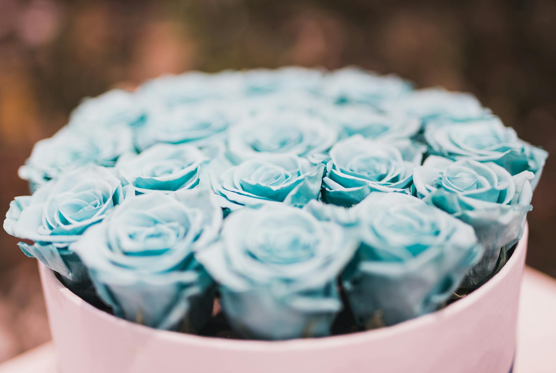 A collection of beautiful blue roses elegantly styled in a round white box, creating a romantic and decorative gift.