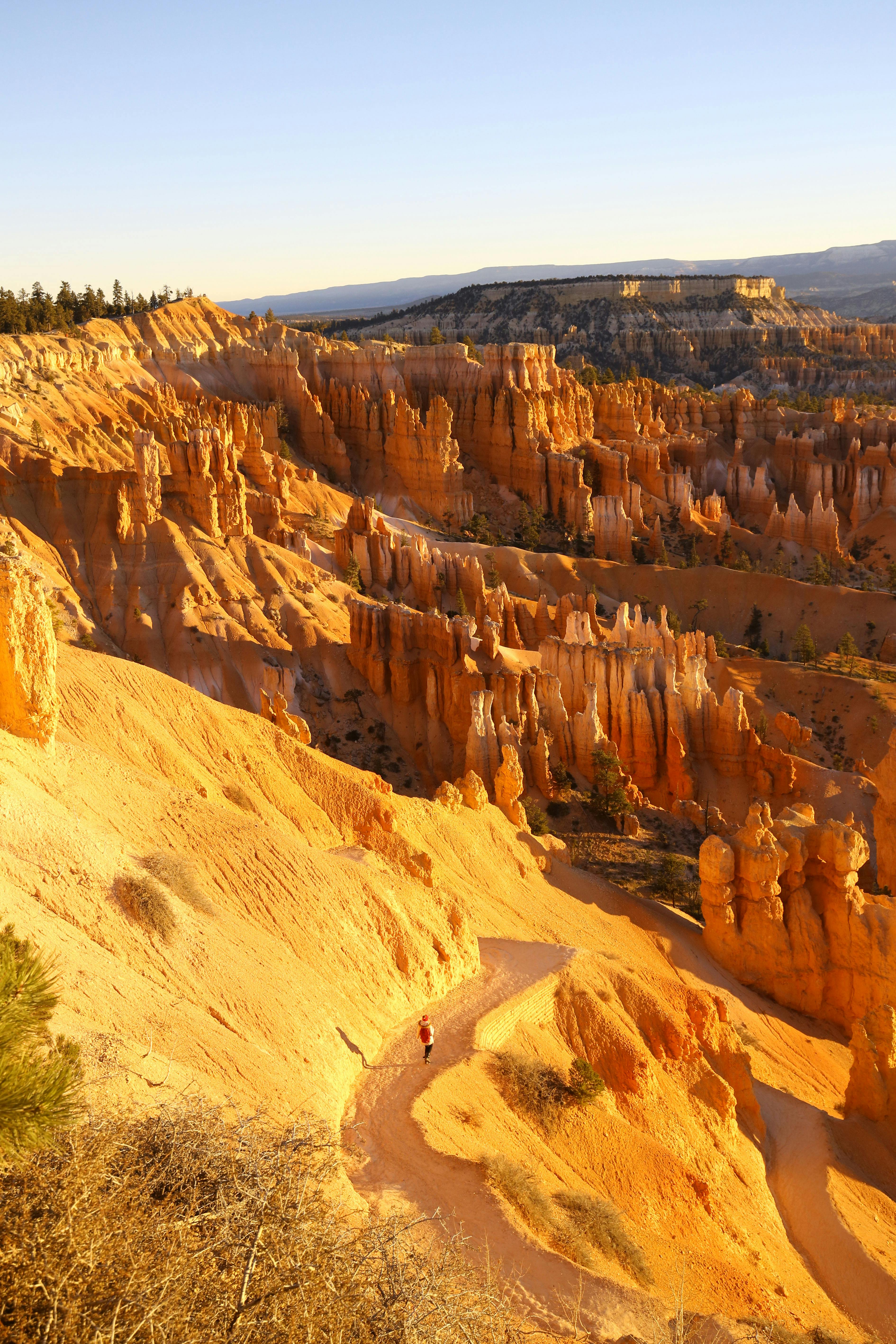 Golden sunlight illuminates Bryce Canyon's unique rock formations, highlighting its stunning landscapes.