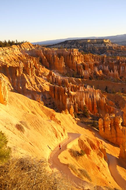 Golden sunlight illuminates Bryce Canyon's unique rock formations, highlighting its stunning landscapes.