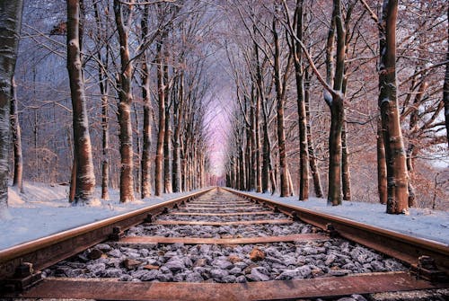 Gratis lagerfoto af forkølelse, frost, jernbanespor