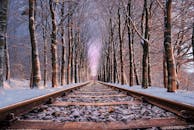 铁轨两旁，白雪覆盖着树木，呈现出一片宁静的冬日景象