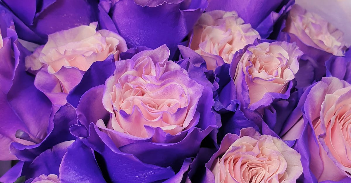 Vivid meaning in English