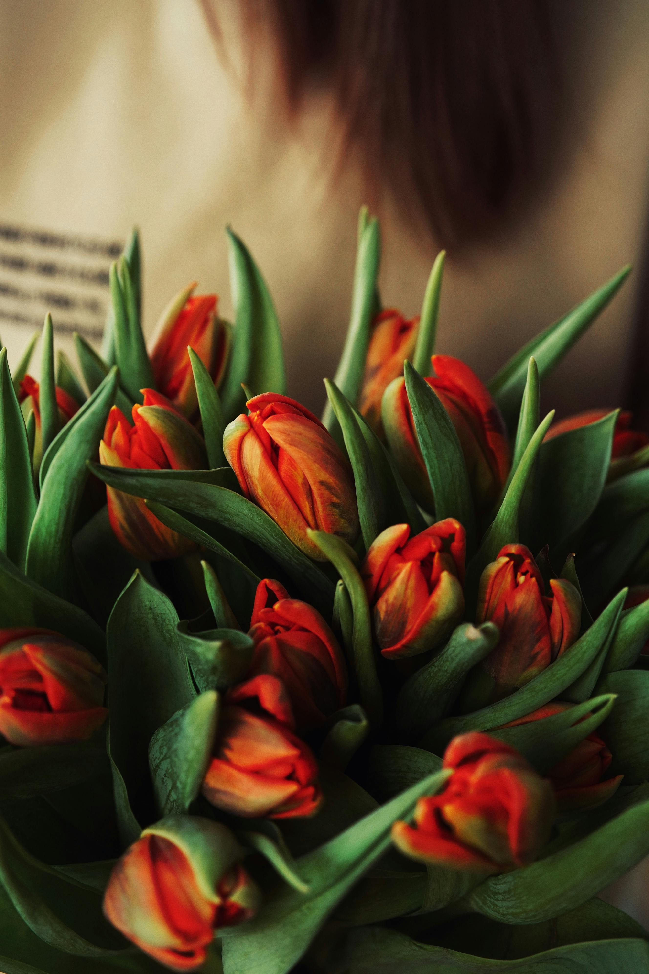 Photo by Алекке Блажин