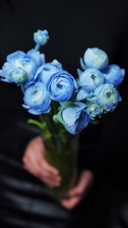 Free Crop anonymous person with bouquet with blue blossoming flowers in glass vase with water in hands Stock Photo