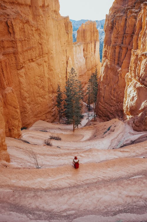 Person Sitting Between the Rocky Mountains