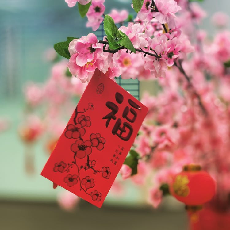 Red Ang Pao Hanging On Pink Flowers 