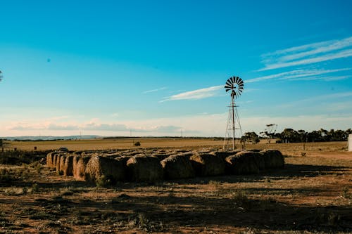 Fotos de stock gratuitas de campo, cielo azul, heno