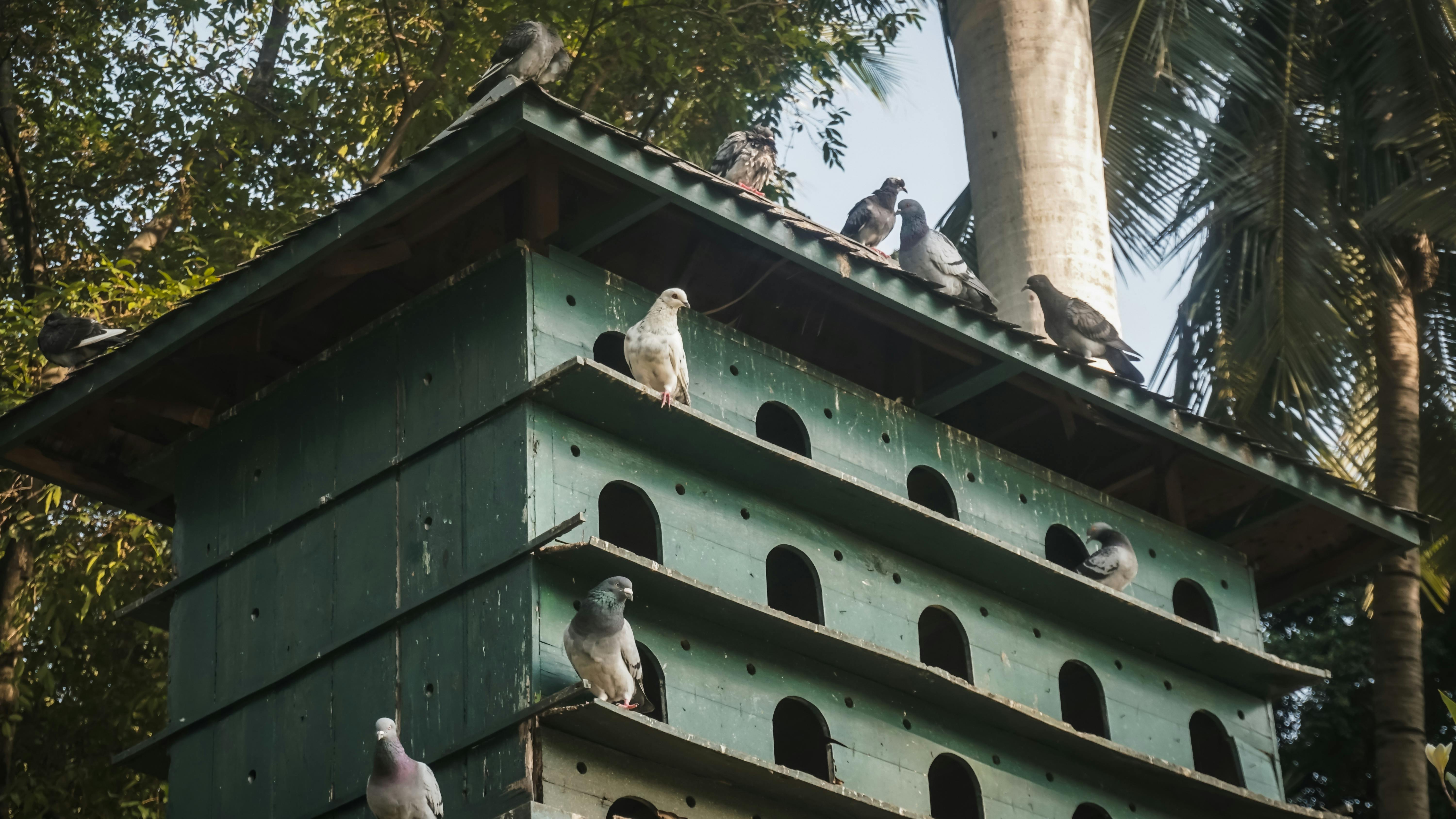 Checklist for certification