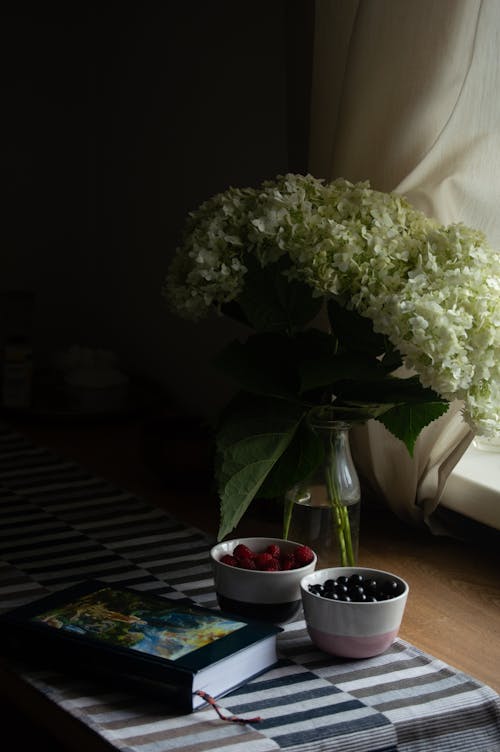 Základová fotografie zdarma na téma aromatický, bobule, čerstvý