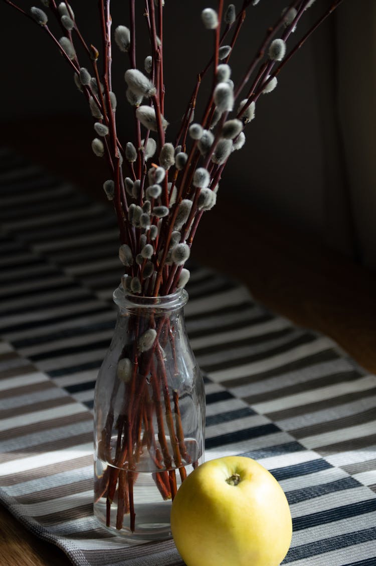 Vase With Willow Branches With Buds And Apple On Table