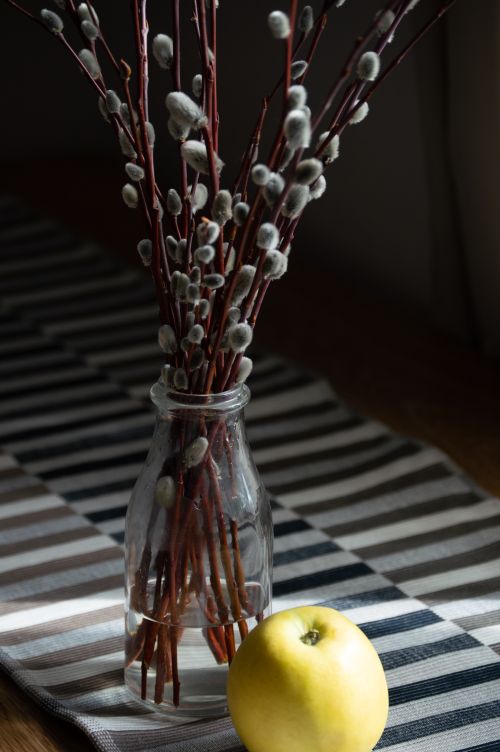 Free Composition of willow twigs with buds and green apple placed on table in sunny room Stock Photo