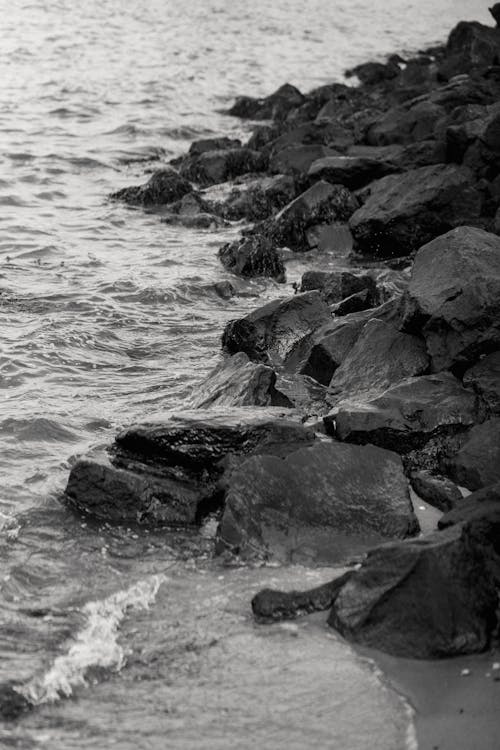 Rocky coast of wavy ocean