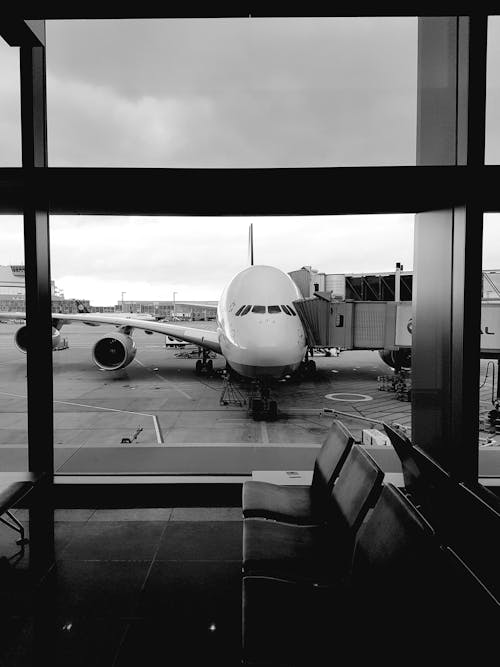 Free stock photo of airline, airplane, airport
