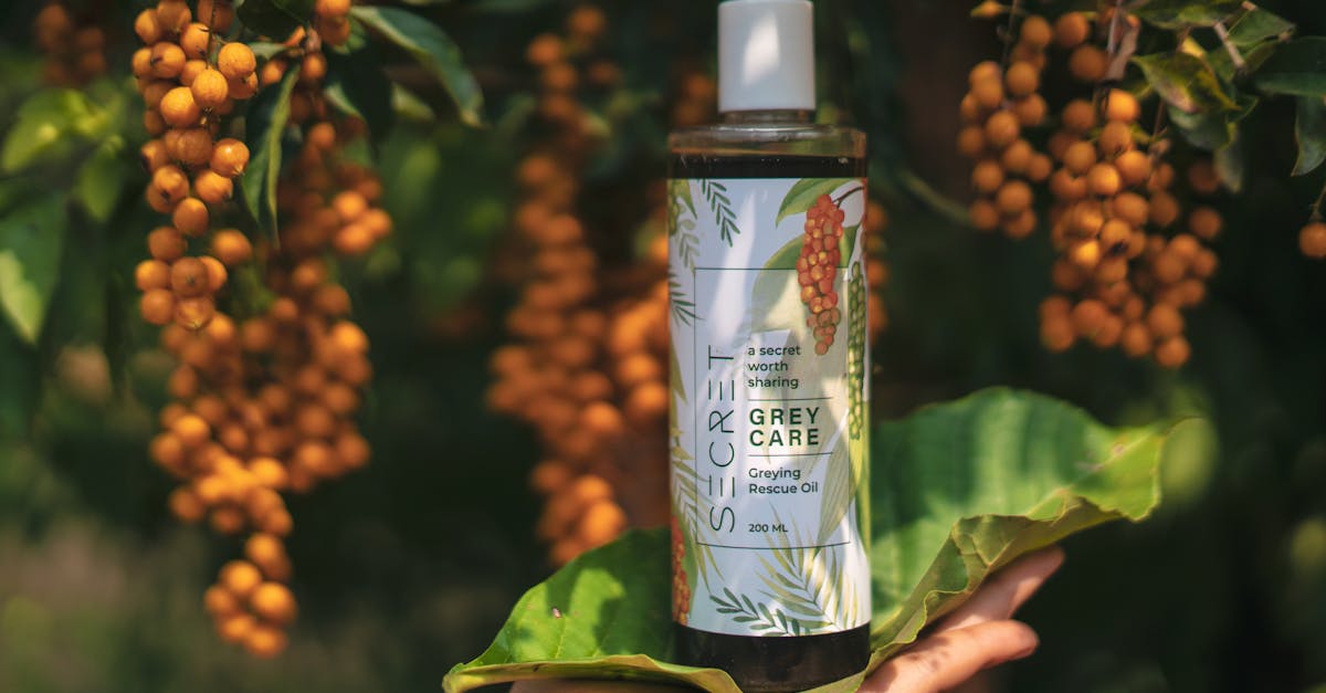 國際:川普稱莫迪承諾停止購買俄羅斯石油 美印矛盾有望緩解