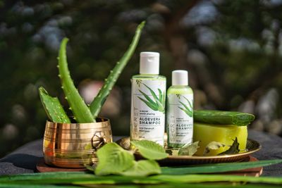 Organic shampoo