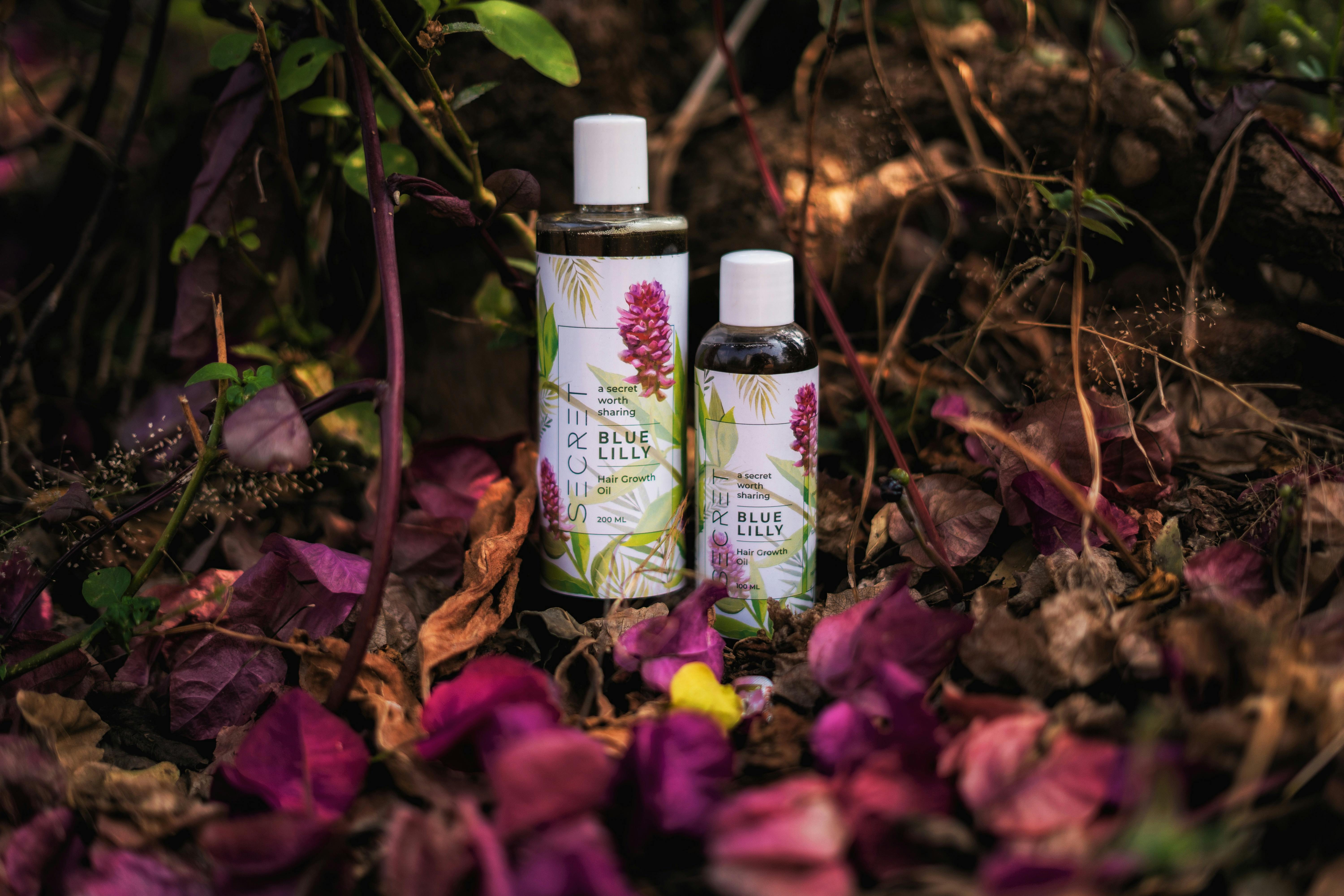 Creating a Tranquil Ambiance with Forest-Infused Scents