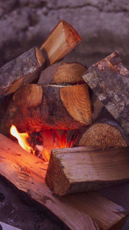 升火的木柴, 森林, 火 的 免費圖庫相片