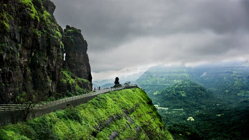 Free stock photo of crest, green, monsoon