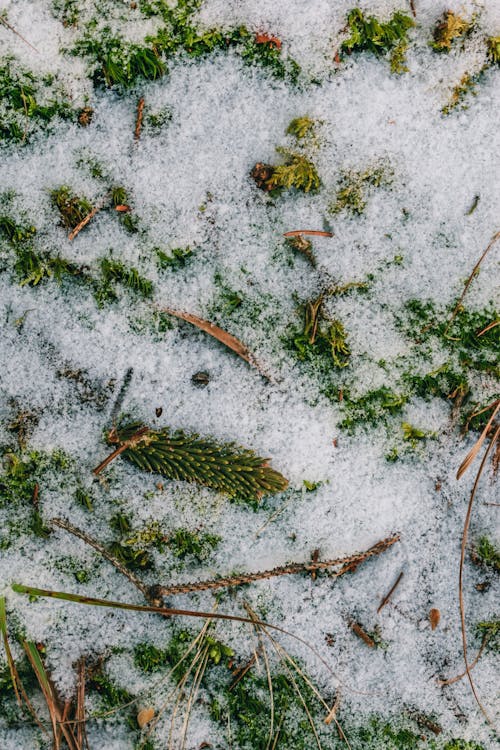 Gratis stockfoto met bovenaanzicht, detailopname, grit