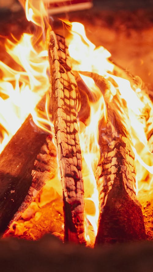 Free Close-up Photo of Bonfire Stock Photo