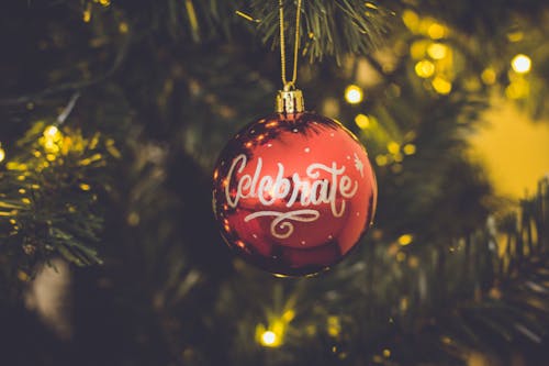 Foto d'estoc gratuïta de arbre, arbre de Nadal, bokeh