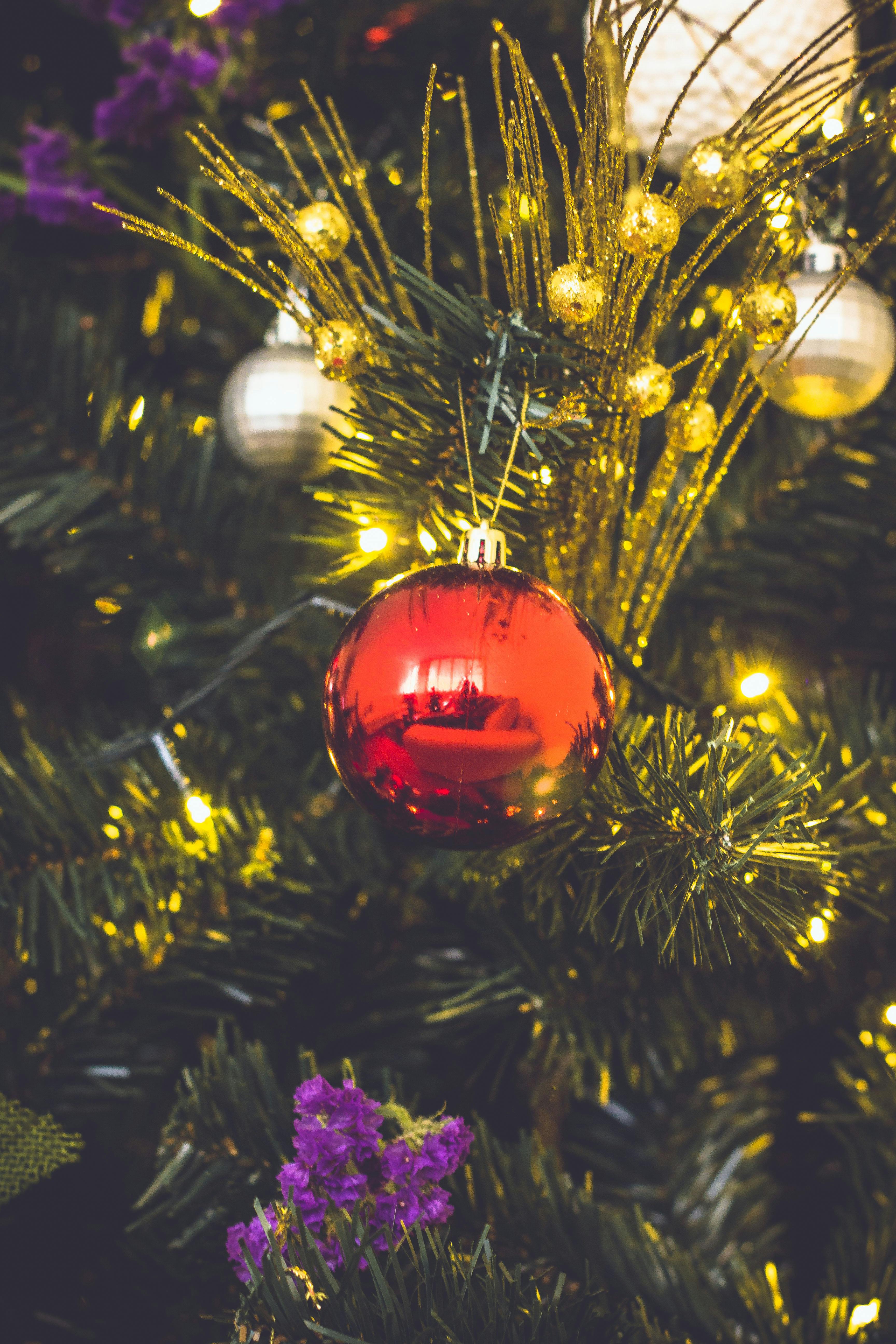 Free stock photo of christmas ball, christmas tree, holidays