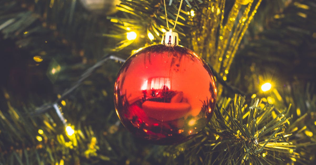 Free stock photo of christmas ball, christmas tree, holidays