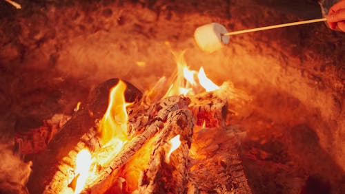 Gratis stockfoto met aangebrand, as, bonfire
