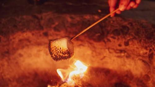 Foto profissional grátis de agradável, alimento, ardente