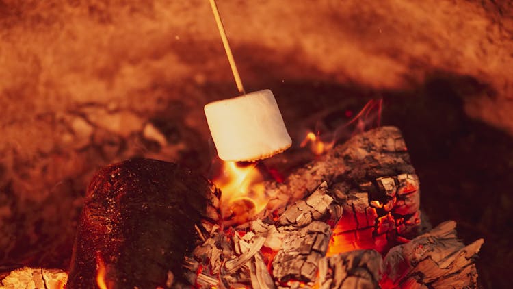 Roasting Marshmallow