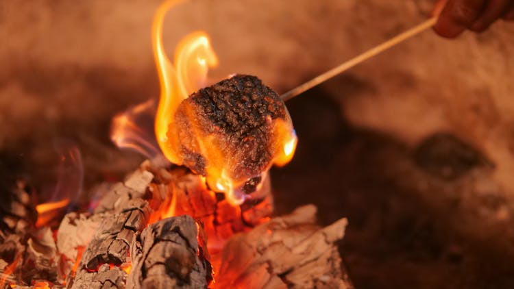 Roasting Marshmallow