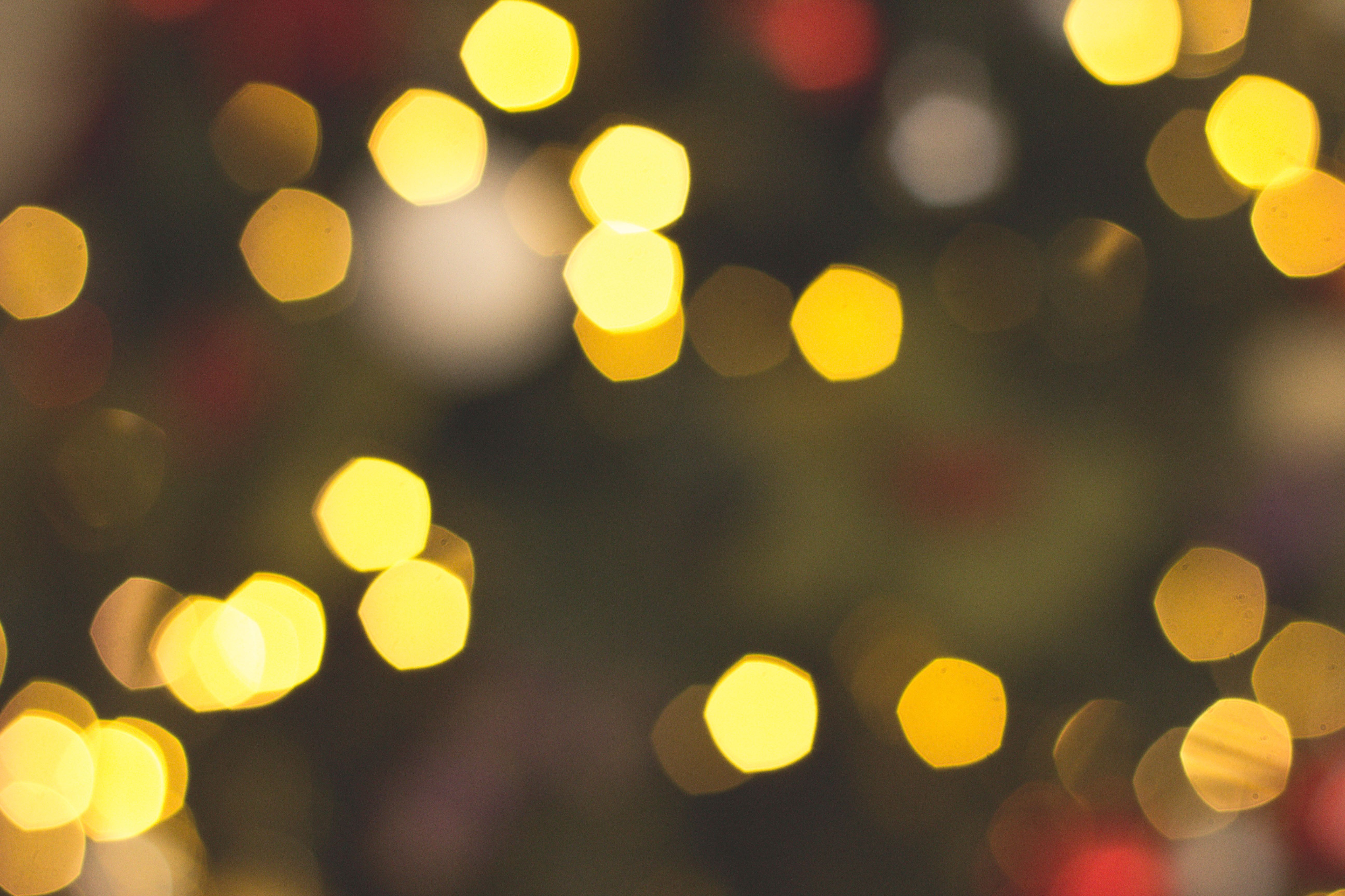Yellow Photo Example 21,302+ Best Free Yellow Stock Photos & Images · 100% Royalty-Free HD ...
