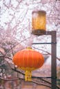 Chinese Lantern Hanging on Lamppost