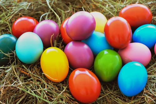 Základová fotografie zdarma na téma barevný, detail, malované vejce