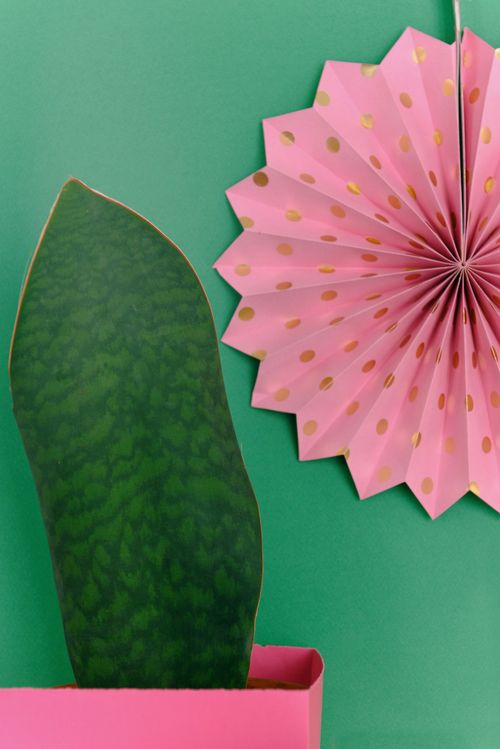 Free Vertical shot of a green leaf in a pink pot and a pink paper rosette against a green background. Stock Photo