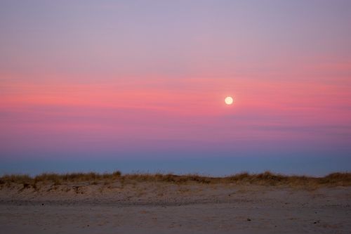 Free Tranquil scene of a beach at sunset in Denmark with the moon in the sky. Stock Photo