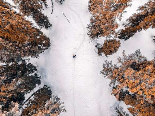 俯視圖, 冬季, 大雪覆盖的地面 的 免费素材图片