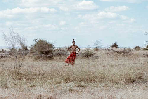 Gratis arkivbilde med busker, etnisitet, Kenya