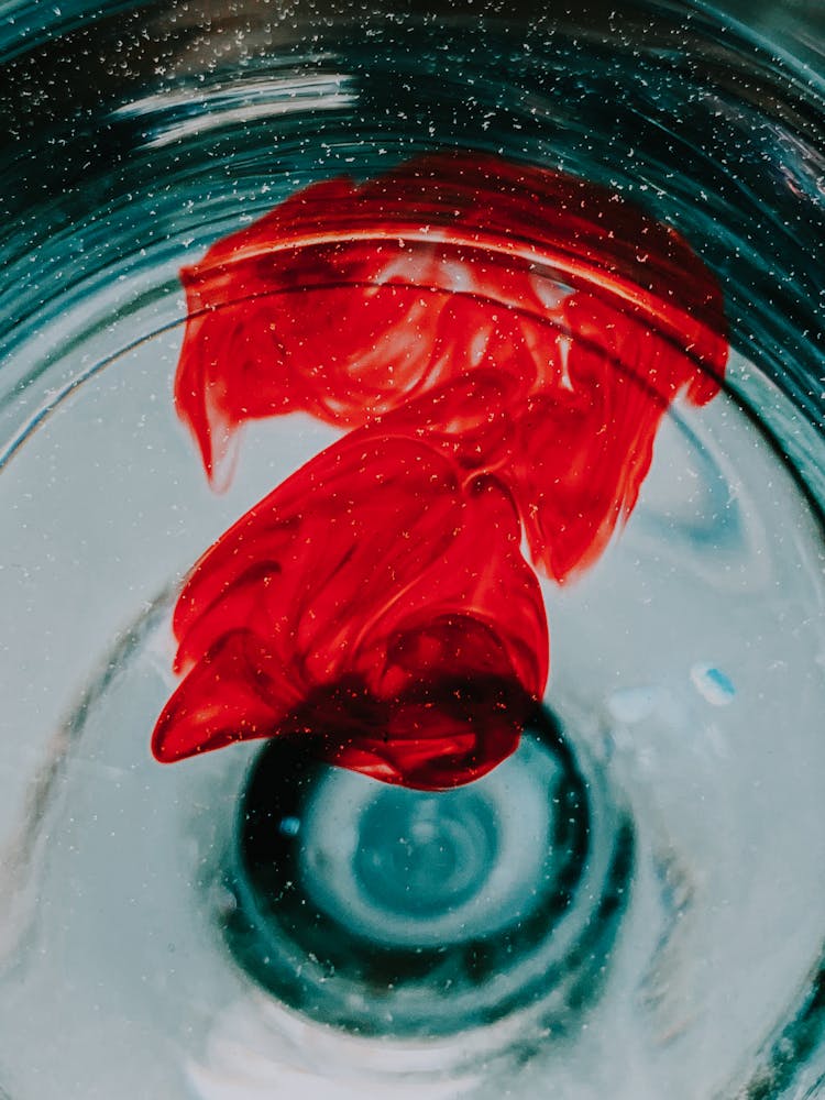 Drop Of Dye Dissolving In Water