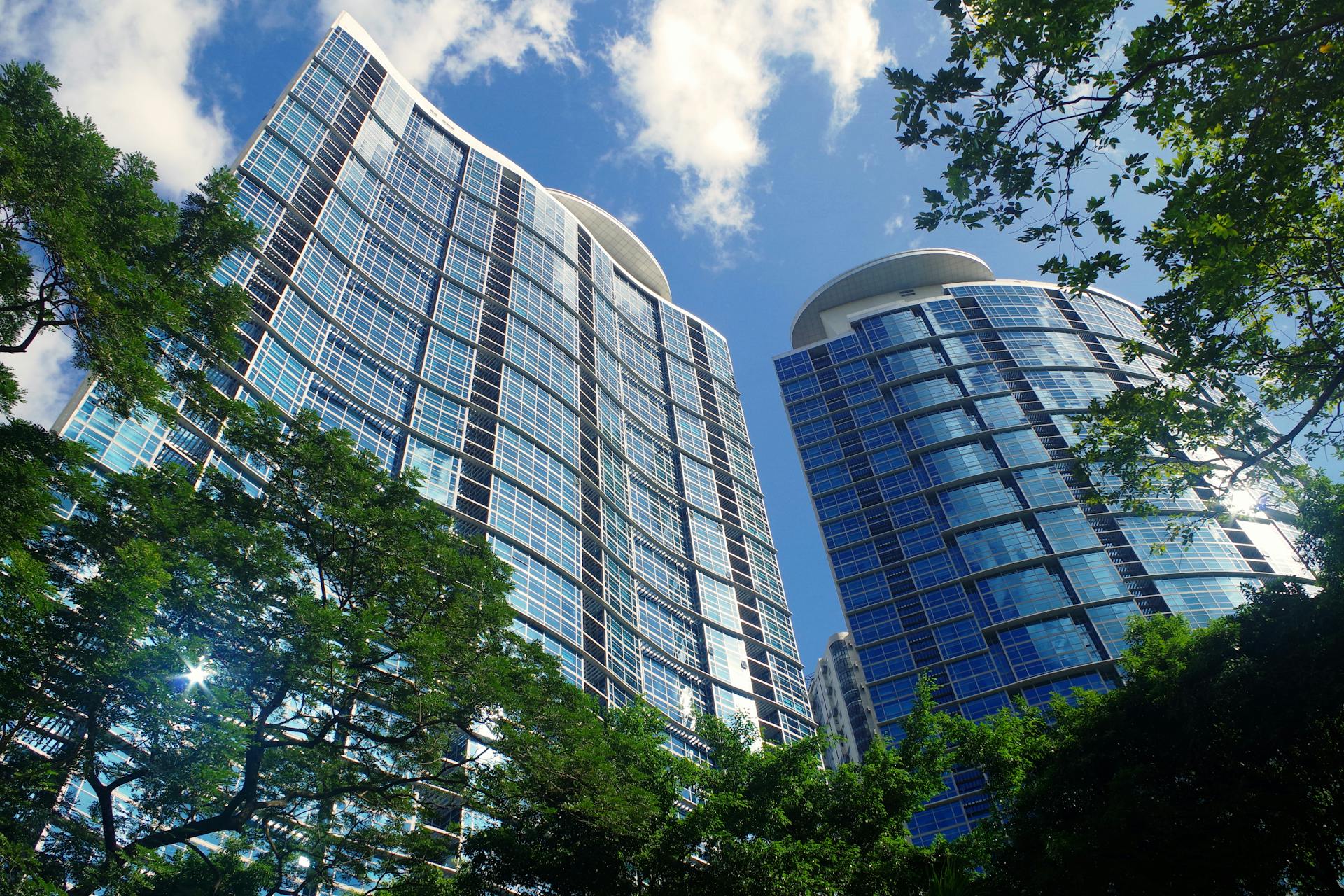 Stunning shot of modern skyscrapers in Manila framed by lush green trees and a clear blue sky.