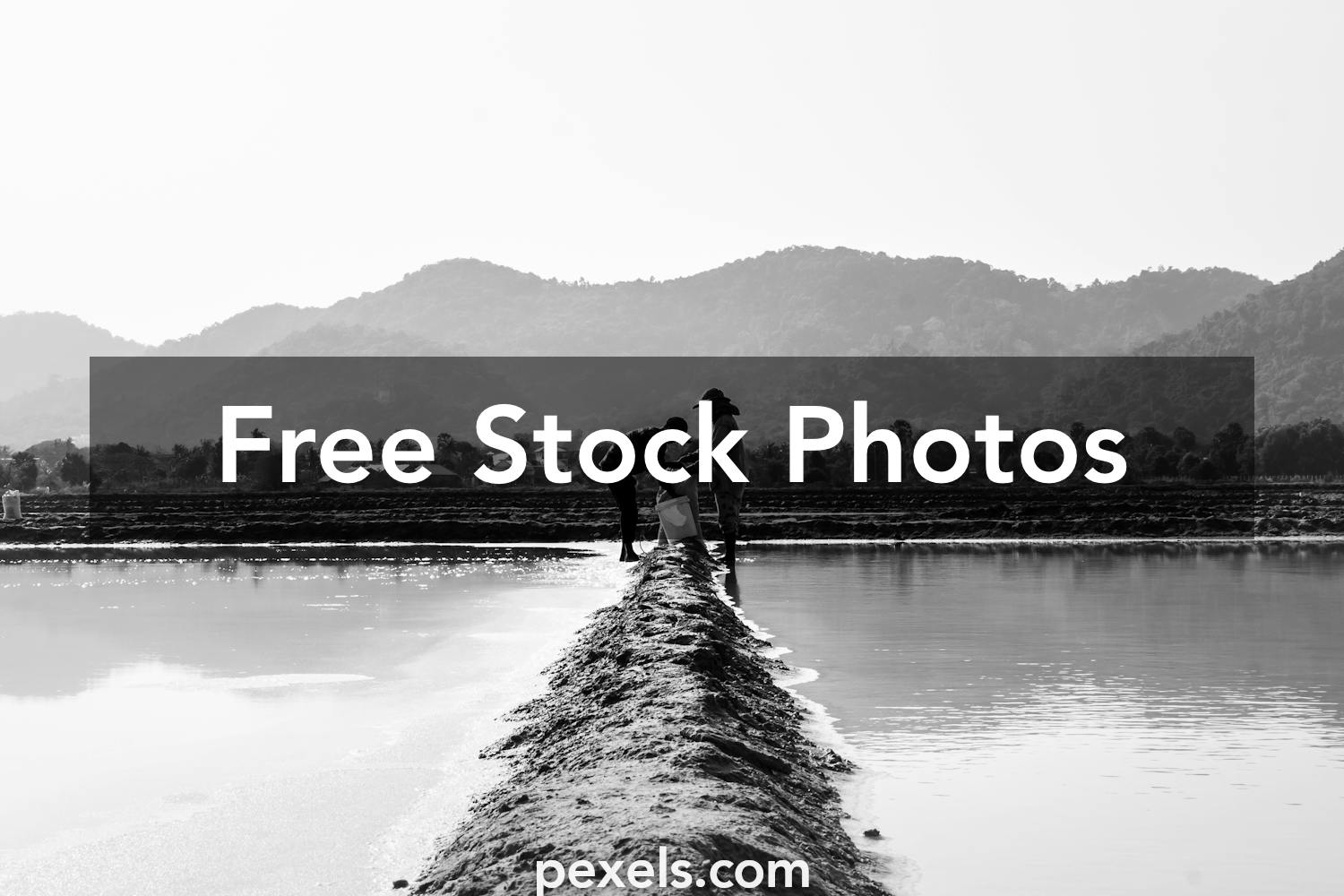 Farmer Photos, Download The BEST Free Farmer Stock Photos & HD Images