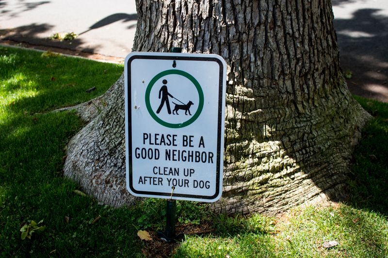 Weekly pet waste pickup keeping a lawn clean and fresh